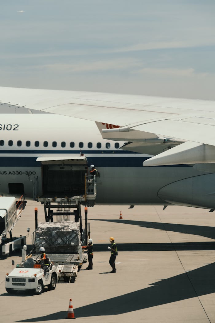 gallery-3 Airbus A330 being loaded with cargo on an airport runway, showcasing transportation logistics.